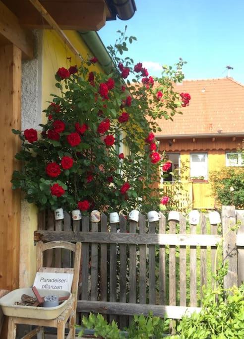 Ferienhaus Mit Garten In Thermennaehe Strebersdorf Exterior foto