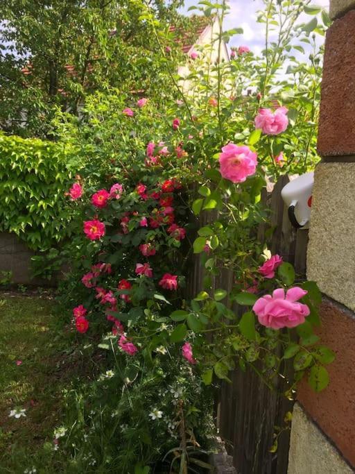Ferienhaus Mit Garten In Thermennaehe Strebersdorf Exterior foto